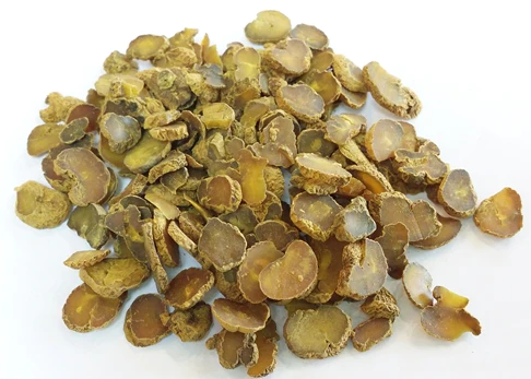 corydalis benefits.png